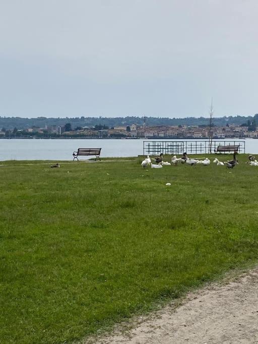 Appartamento La Casa Nel Borgo Angera Esterno foto